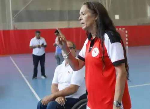 Lucha Villa tiene entre sus mayores logros liderar el proceso de creación del Comité Paralímpico de Perú en 2015, institución que ha presidido durante más de una década.