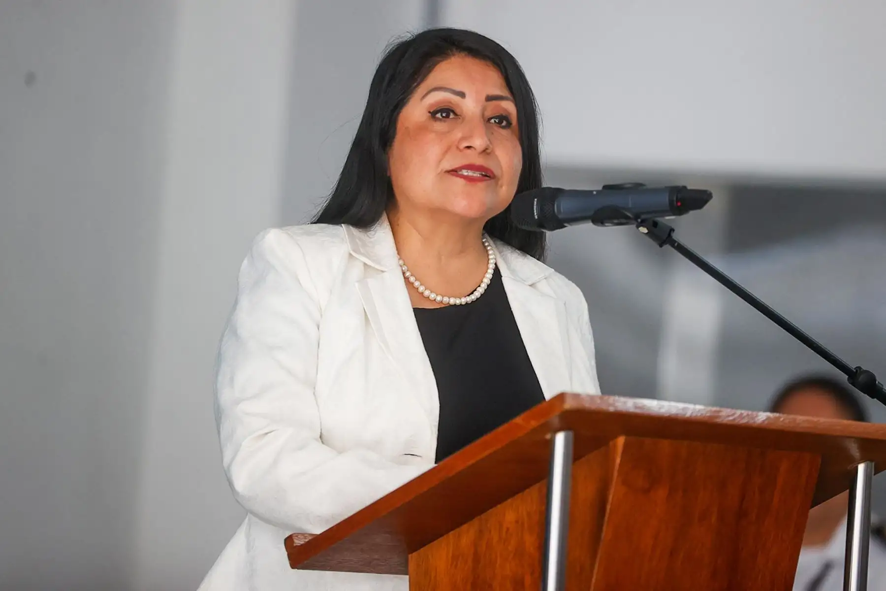 Foto: ANDINA/ Vidal Tarqui