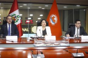 Foto: ANDINA/ Vidal Tarqui