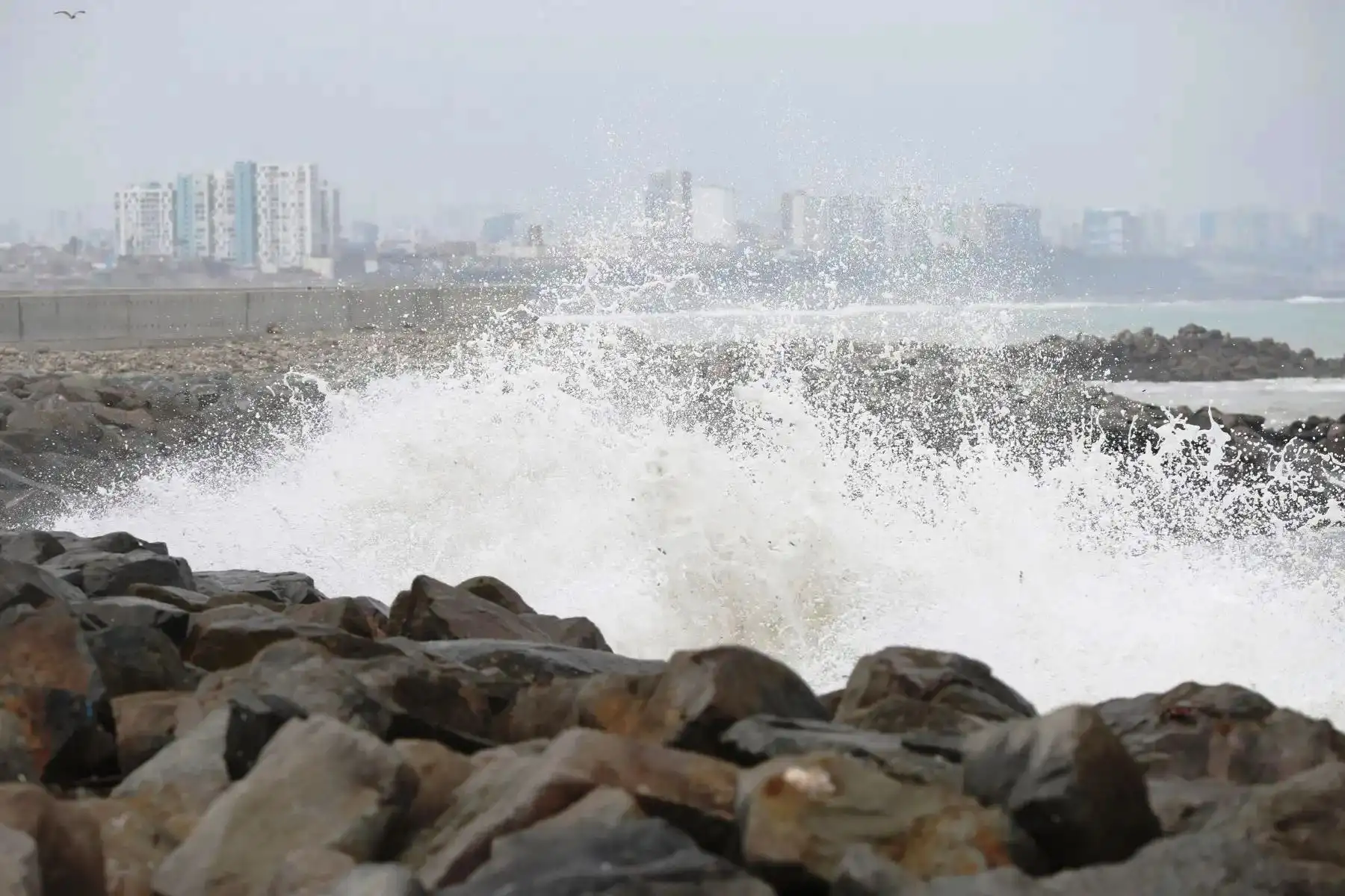Un oleaje moderado implica que las olas pueden alcanzar hasta el doble de su tamaño habitual, mientras que uno fuerte puede llegar a entre dos y tres veces su altura normal, sostienen especialistas de la Marina de Guerra. Foto: ANDINA/archivo.