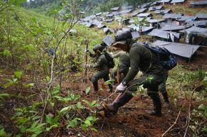 Brigadas del Proyecto Especial Corah intensifican la reducción del espacio cocalero ilegal. Foto: MININTER/Difusión.