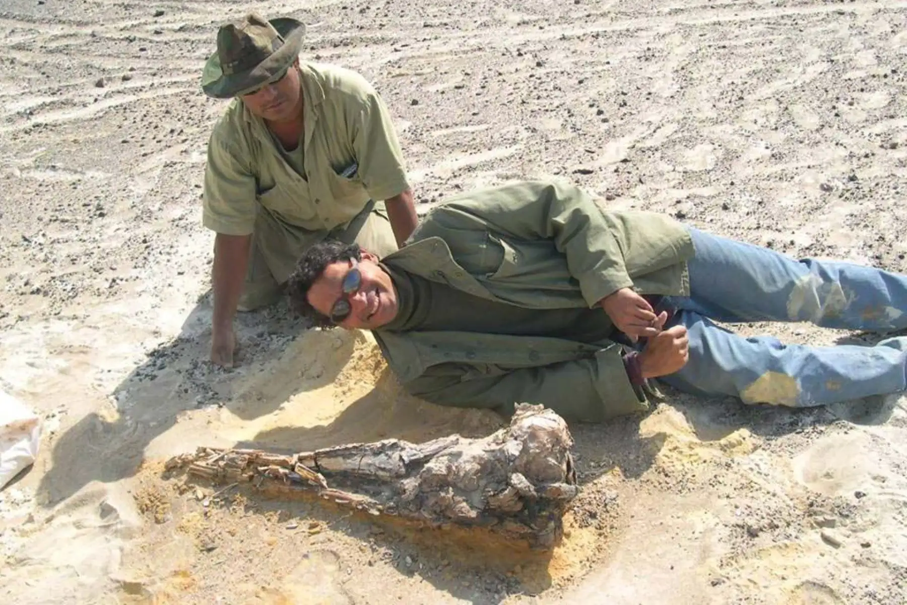 El hallazgo aporta información valiosa sobre la biodiversidad marina del pasado y refuerza la importancia de la investigación científica en el Perú. Fotos: MHN