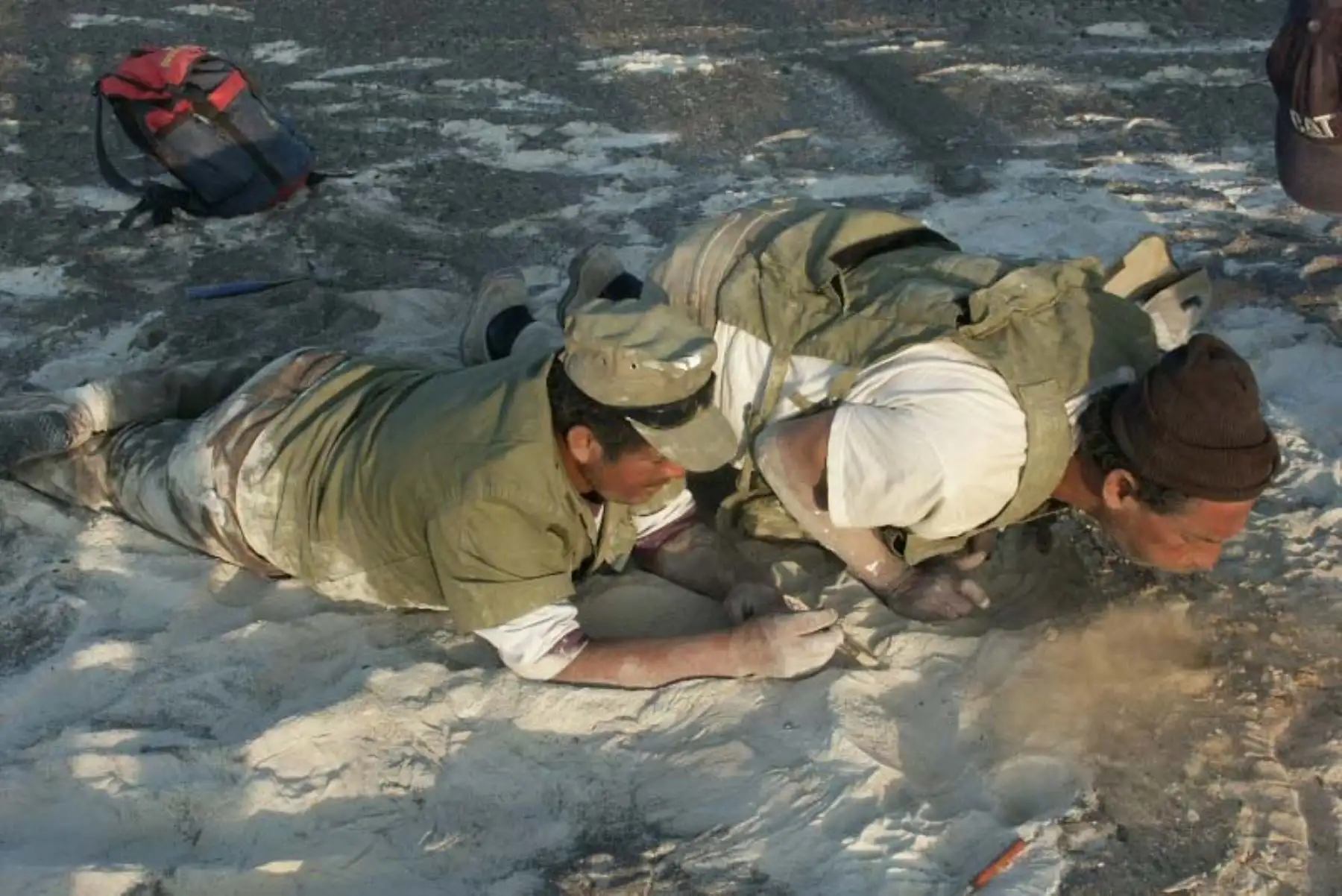 Especialistas realizan estudios paleontológicos para identificar características anatómicas y su relación con otras especies marinas antiguas. Fotos: MHN