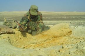 Puede visitar “El zífido de Ocucaje” en la sala de exposiciones temporales del Museo de Historia Natural. Foto: MHN
