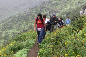 Una de las recomendaciones saludables para combatir el sedentarismo es realizar actividad física con frecuencia. Entre las opciones más sencillas está la caminata, un ejercicio que resulta más beneficioso para el organismo si se ejecuta en entornos naturales.