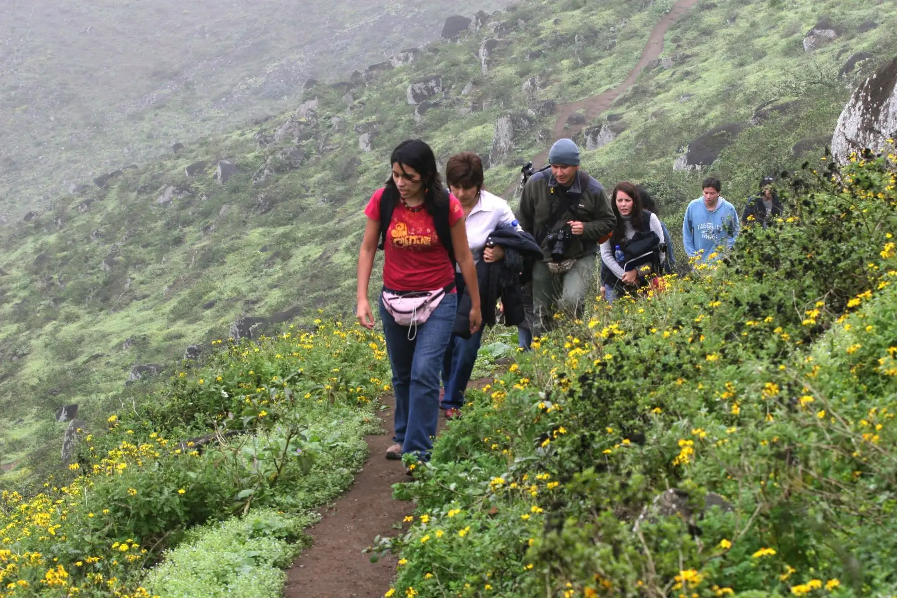 Una de las recomendaciones saludables para combatir el sedentarismo es realizar actividad física con frecuencia. Entre las opciones más sencillas está la caminata, un ejercicio que resulta más beneficioso para el organismo si se ejecuta en entornos naturales.