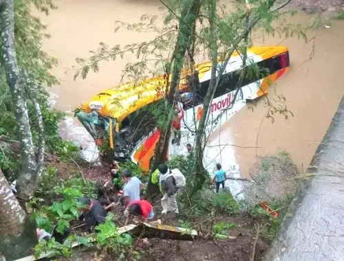 Un grave accidente de tránsito se registró la mañana de este miércoles 11 de marzo en la región San Martín, cuando un bus interprovincial de la empresa Móvil Bus, que cubría la ruta Pucallpa – Juanjuí, se despistó y terminó cayendo al cauce de una quebrada en el sector del puente Shitari, cerca del distrito de Campanilla, en San Martín. ANDINA/Difusión