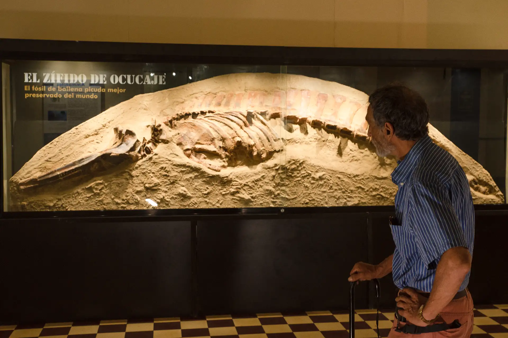 Photo: Rafael Varas-Malca/DPVMHN