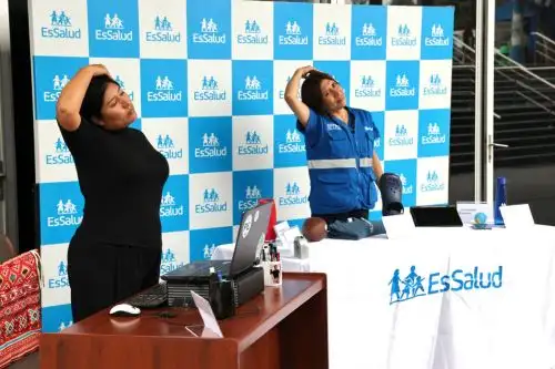 EsSalud recomienda cuidar la postura y hacer pausas activas para evitar dolores de espalda y estrés n el teletrabajo. Foto: ANDINA/Difusión