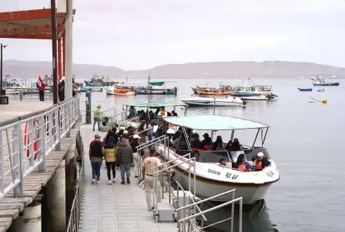 Esta mañana se reanudaron las salidas de embarcaciones turísticas a las Islas Ballestas desde el balneario de Paracas, en Ica. Foto: Genry Bautista