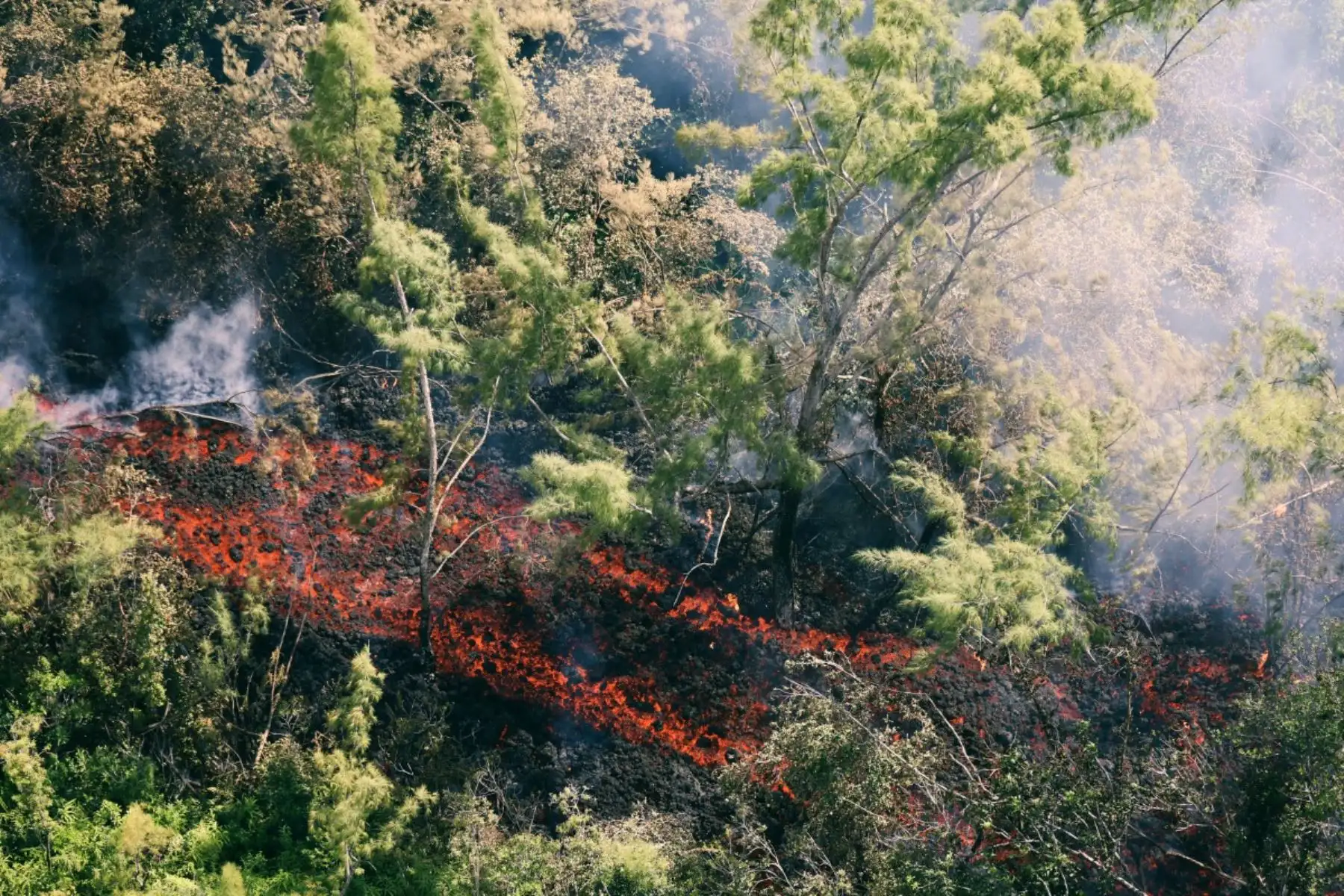 Dos flujos de lava expulsados por el Piton de la Fournaise, un volcán que lleva cerca de un mes en erupción en la isla de La Reunión, han cortado la carretera que une el sur con el este de la isla, algo que no ocurría desde hace casi 20 años. Foto: AFP
