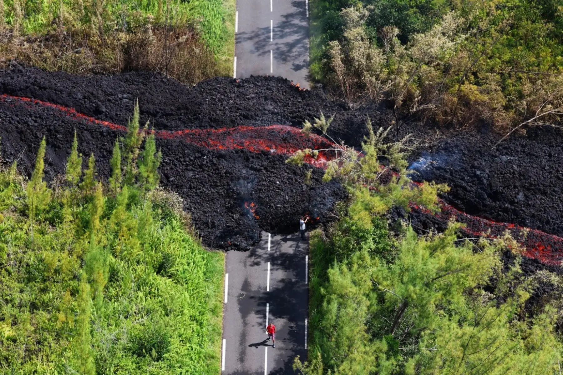 Flujo de lava abriéndose paso a través de una zona boscosa en el volcán Piton de la Fournaise. La isla de La Reunión alertó sobre la “probable o inminente erupción” de su volcán Piton de la Fournaise, uno de los más activos del mundo.  Foto: AFP