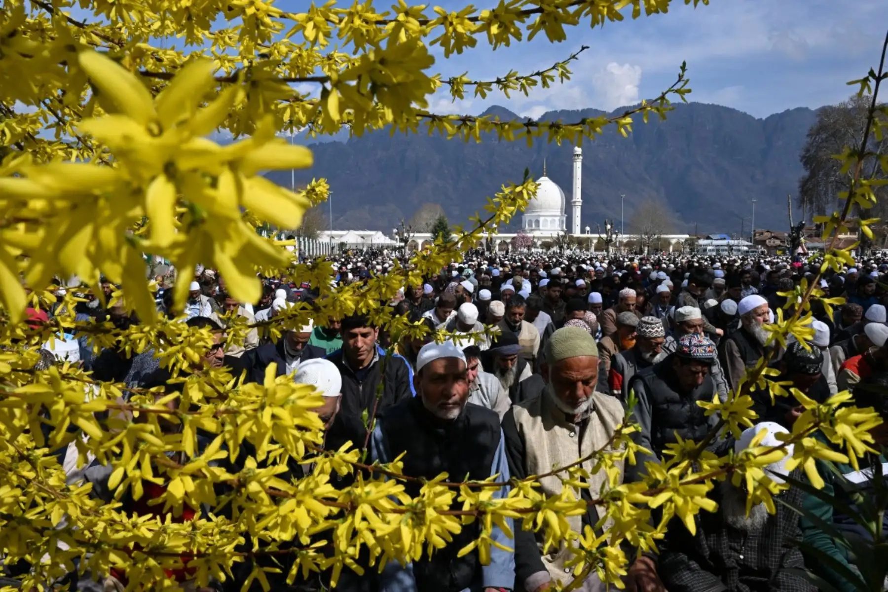 Musulmanes de Cachemira realizan sus últimas oraciones del viernes del mes sagrado de Ramadán en el santuario de Hazratbal en Srinagar. Foto: AFP