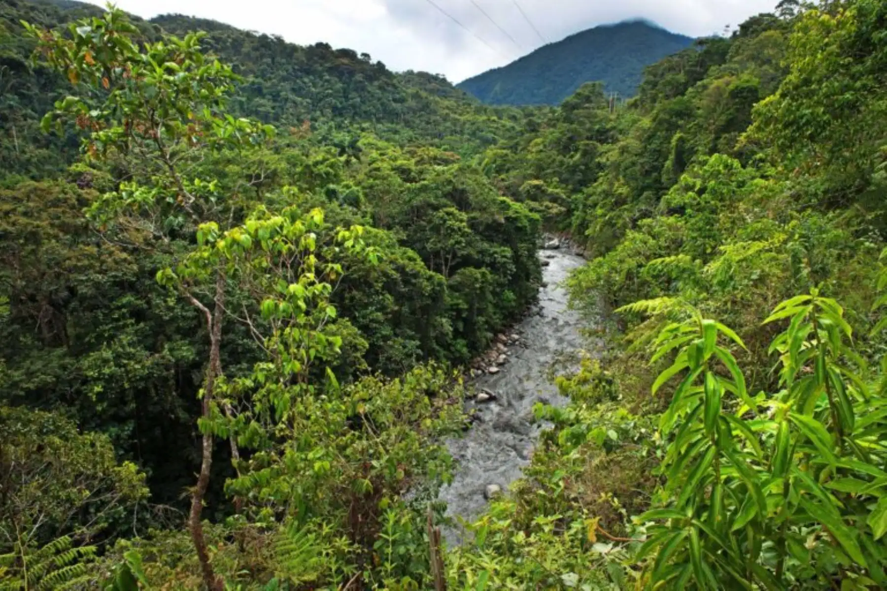 Perú incrementa extensión de sus áreas naturales protegidas a 25.8 millones de hectáreas