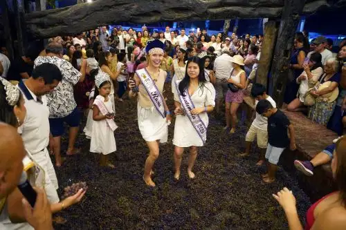 Con una agenda que fusiona solemnidad y fiesta popular, Ica, la cuna y capital del pisco celebra hoy viernes 13 de marzo el día central del 61.° Festival Internacional de la Vendimia (FIVI 2026). Foto: Genry Bautista