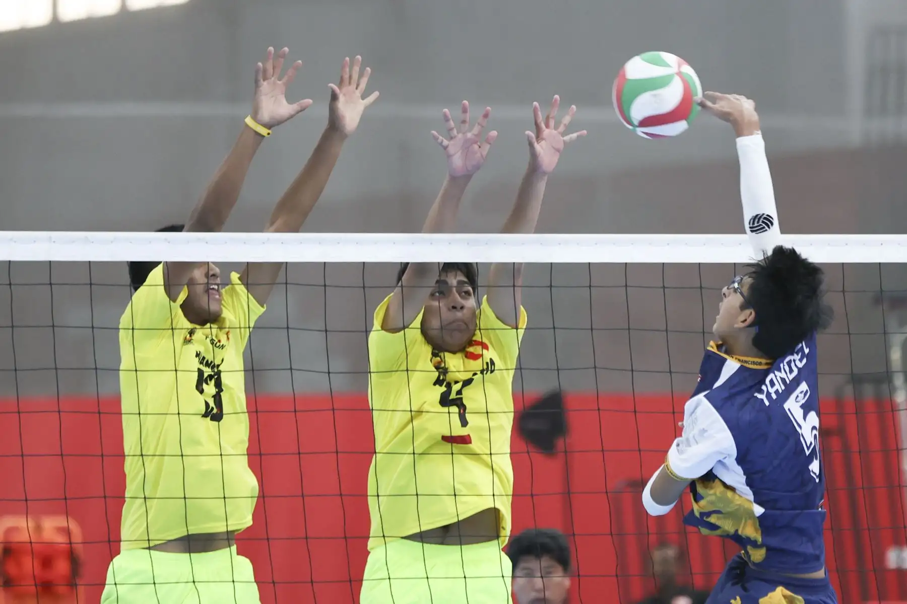 El campeonato masculino de vóley Sub 15 entra en su etapa decisiva tras disputarse las semifinales del torneo, en las que se enfrentaron los equipos de Huancayo y San Sebastián, Cajamarca y Ventanilla, así como San Isidro y Paucarpata. Los encuentros definieron a los equipos que avanzarán a la fase final de la competencia, en una jornada marcada por el entusiasmo de los jóvenes deportistas y el alto nivel mostrado en la cancha. Foto: ANDINA/Jhonel Rodríguez Robles
