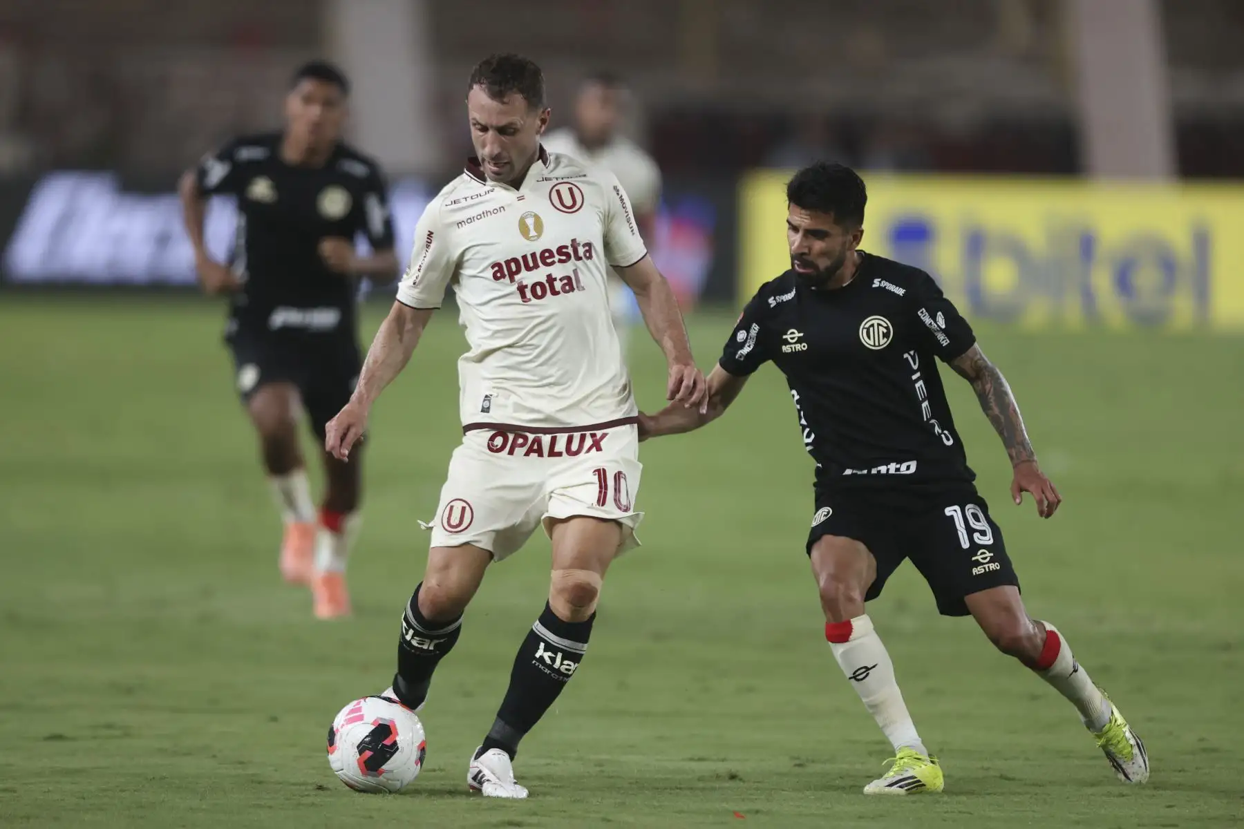 Universitario de Deportes se impuso por 2-0 ante UTC de Cajamarca en un encuentro correspondiente a la fecha 7 del Torneo Apertura de la Liga 1. El conjunto crema logró asegurar la victoria con goles de Alzugaray y Valera, sumando tres puntos importantes ante su afición en el estadio Monumental. Foto: ANDINA/Jhonel Rodríguez Robles