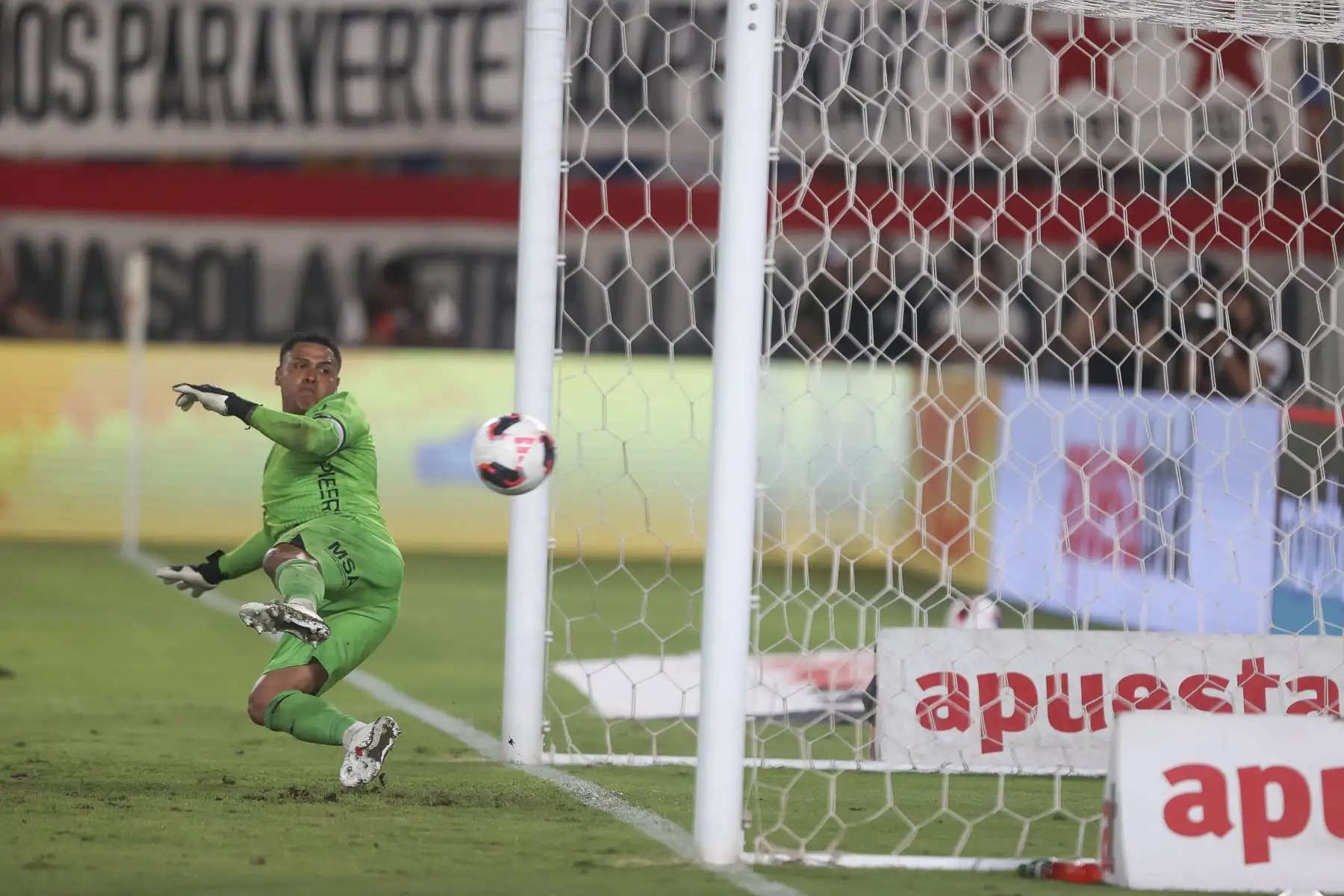 Universitario de Deportes se impuso por 2-0 ante UTC de Cajamarca en un encuentro correspondiente a la fecha 7 del Torneo Apertura de la Liga 1. El conjunto crema logró asegurar la victoria con goles de Alzugaray y Valera, sumando tres puntos importantes ante su afición en el estadio Monumental. Foto: ANDINA/Jhonel Rodríguez Robles