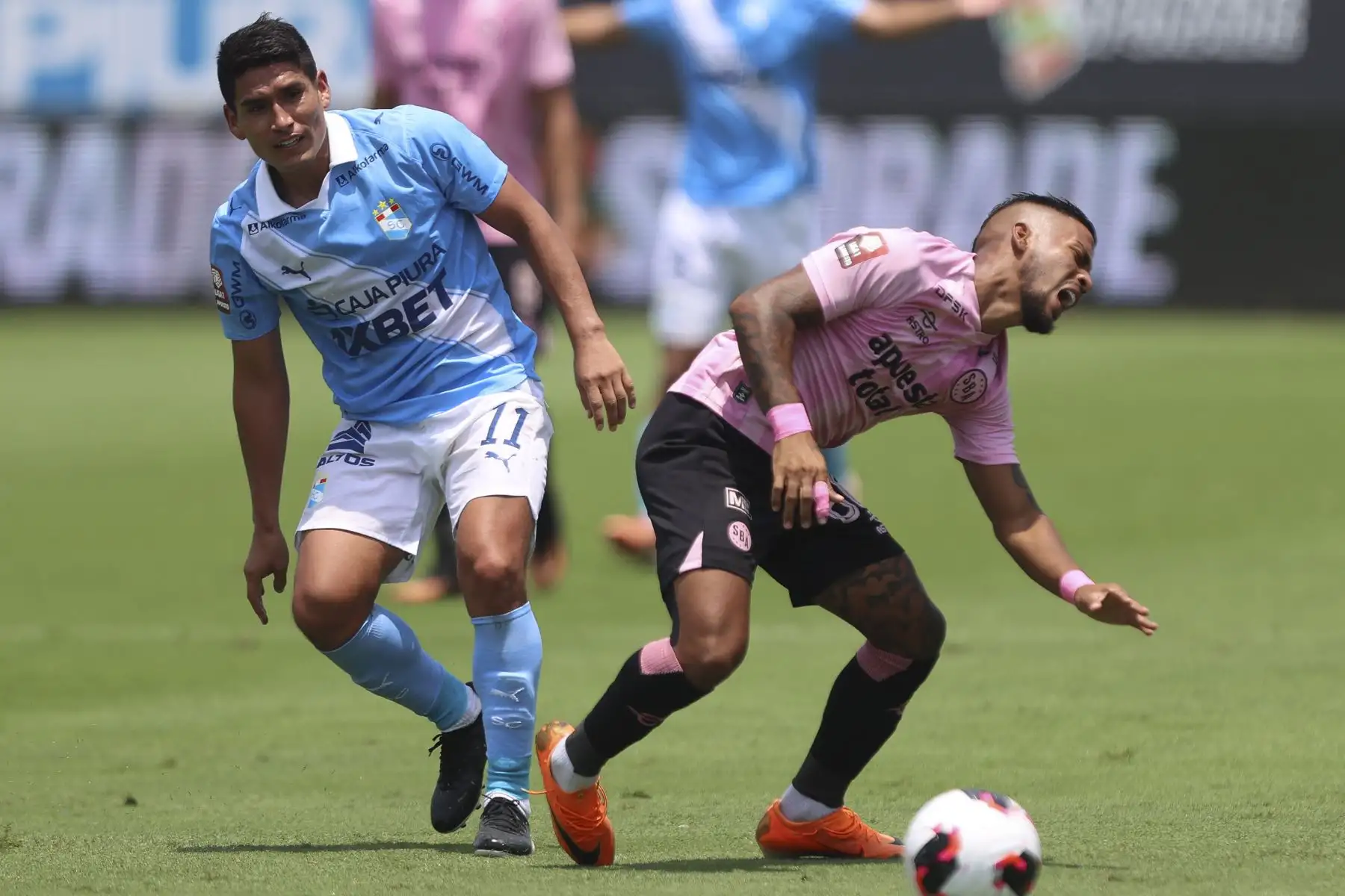 Sporting Cristal goleó 3-0 a Sport Boys en partido correspondiente a la fecha 7 del Torneo Apertura de la Liga 1, disputado en el Estadio Alberto Gallardo, con goles de Maxloren Castro, Miguel Araujo y Irven Ávila. Foto: ANDINA/Jhonel Rodríguez Robles