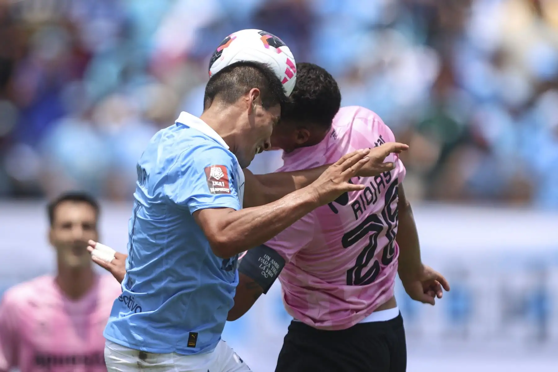 Sporting Cristal goleó 3-0 a Sport Boys en partido correspondiente a la fecha 7 del Torneo Apertura de la Liga 1, disputado en el Estadio Alberto Gallardo, con goles de Maxloren Castro, Miguel Araujo y Irven Ávila. Foto: ANDINA/Jhonel Rodríguez Robles