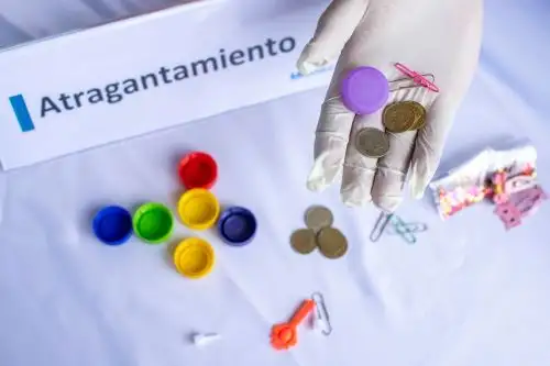 (Foto: ANDINA/ Difusión)