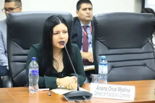 Congresista Ariana Orue, de la bancada Podemos Perú.