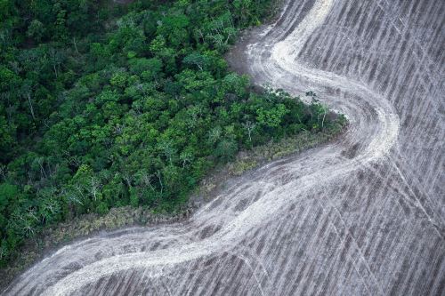 Esta vista aérea muestra una zona deforestada de la selva amazónica preparada para la plantación en los alrededores de Belém, estado de Pará, Brasil. Foto: AFP.