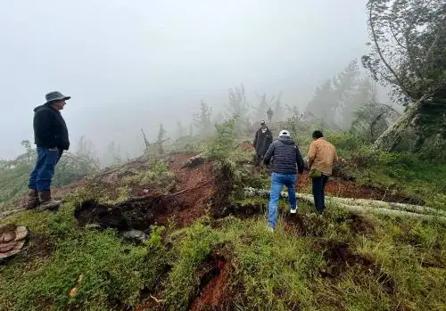 Un total de 1,200 damnificados se ha reportado en lo que va del año debido a la temporada de lluvias intensas en la región Cajamarca; asimismo, se han registrado cuatro personas fallecidas. ANDINA/Difusión