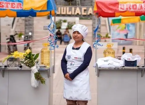 Exrecicladores de la ciudad de Juliaca, en Puno, completaron un proceso de reconversión laboral, con el apoyo del Minam, que les permite iniciar nuevos emprendimientos formales. ANDINA/Difusión