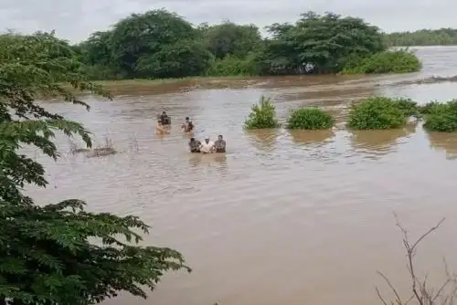 La fuerza del río no solo puso en peligro la vida del adulto mayor, sino que también arrasó con su corral y parte de su ganado..