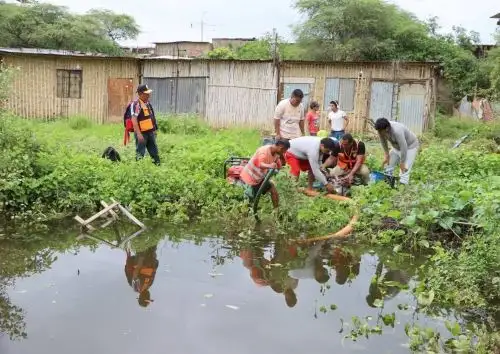 sanitaria tras confirmarse 54 casos de leptospirosis, en medio de las intensas lluvias que dejaron varias calles inundadas y agua estancada, condiciones propicias para la propagación de esta enfermedad. ANDINA/Difusión