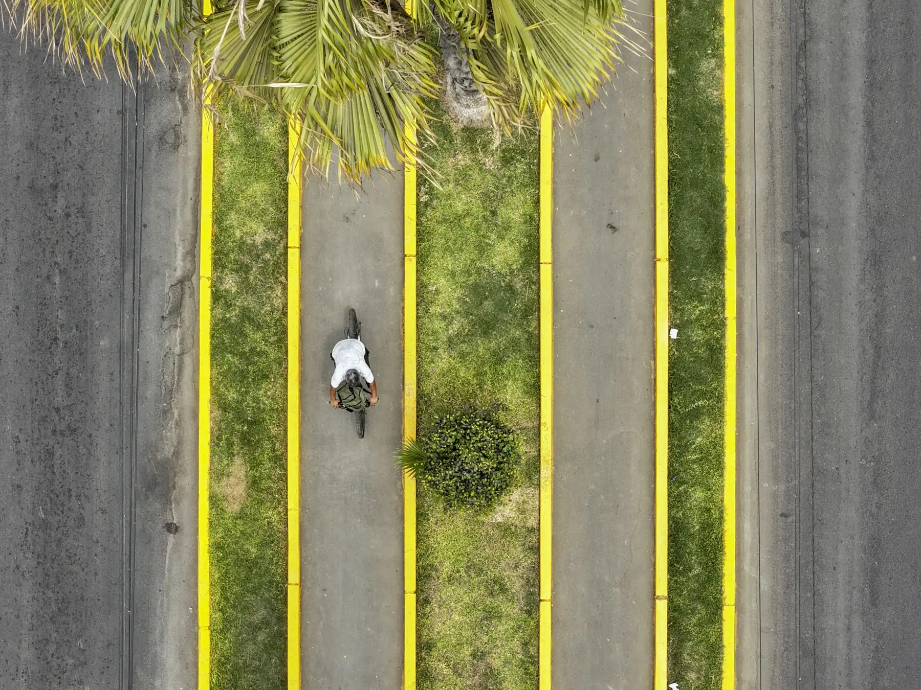 Municipalidad de Lima entrega la renovada avenida Carlos Izaguirre y nueva ciclovía Huandoy en Lima Norte. Obras benefician a más de 1.5 millones de vecinos e impulsan la movilidad sostenible y la seguridad vial de la zona

Foto: ANDINA/Juan Carlos Guzmán Negrini