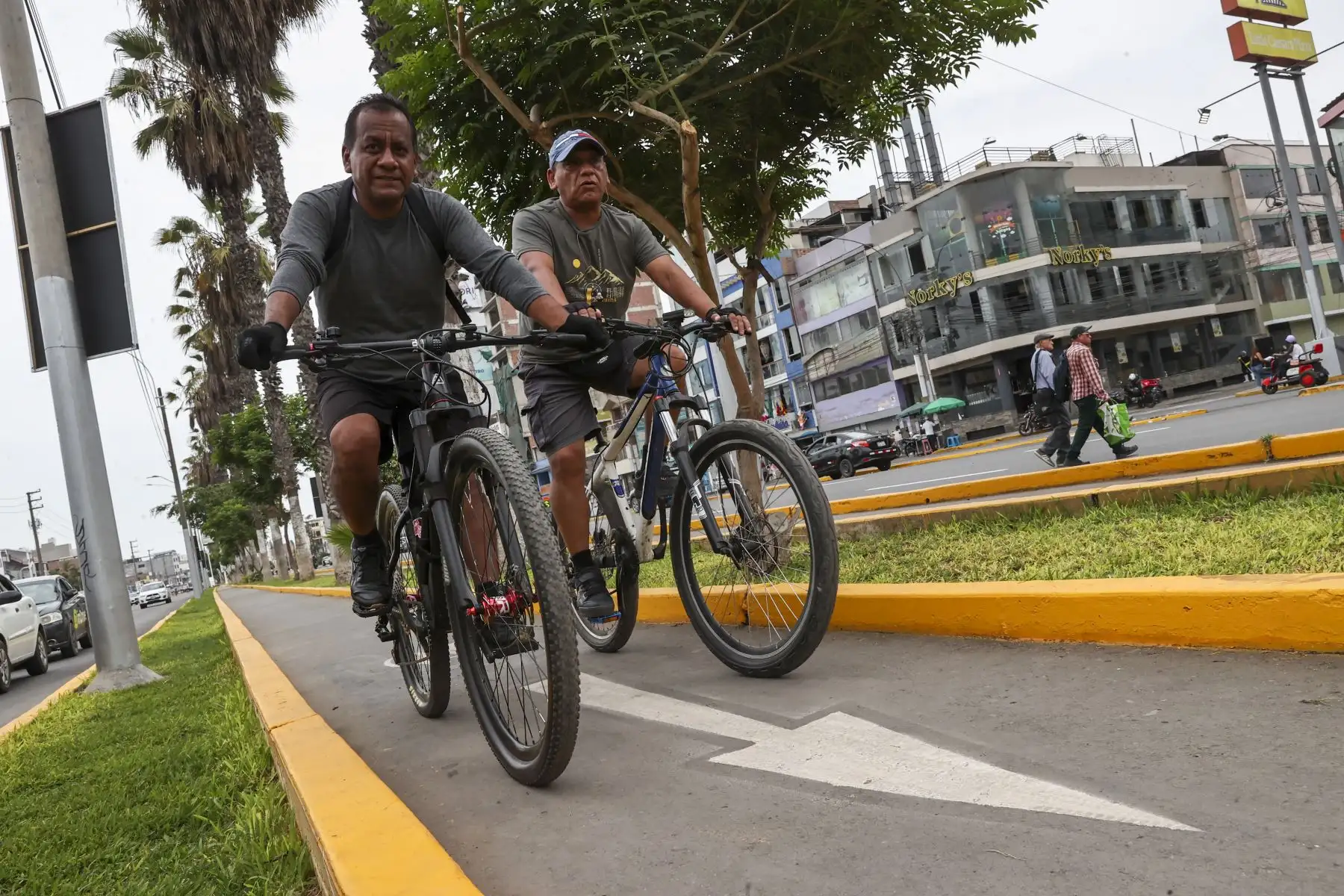Municipalidad de Lima entrega la renovada avenida Carlos Izaguirre y nueva ciclovía Huandoy en Lima Norte. Obras benefician a más de 1.5 millones de vecinos e impulsan la movilidad sostenible y la seguridad vial de la zona

Foto: ANDINA/Juan Carlos Guzmán Negrini