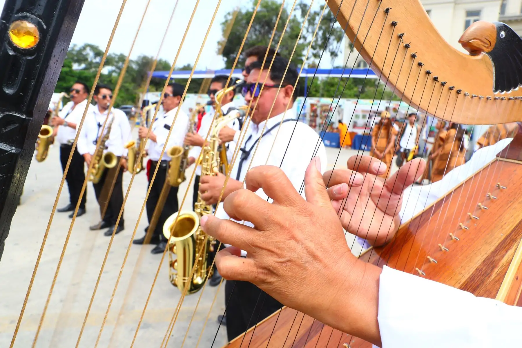 Músicos interpretan melodías tradicionales con arpa, resaltando el sonido característico de Junín durante la presentación cultural.
Foto: ANDINA/Verónica Calderón Zúñiga