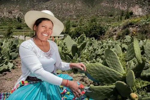 La prioridad de la EEMRI 2026 es fortalecer la autonomía económica de las organizaciones agrarias de mujeres. Foto: MIDAGRI/Difusión
