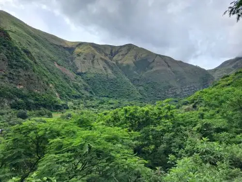 Avanza el proceso para conformar el Área de Conservación Regional “Bosques Interandinos del Marañón”, que estará ubicado en la provincia liberteña de Bolívar. ANDINA/Difusión