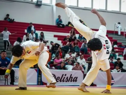 Lo mejor de la capoeira se vivirá en la Videna