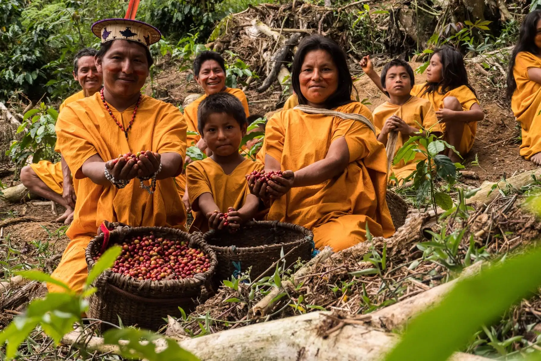 Serfor impulsa economías locales y mejora calidad de vida de familias mediante los bosques
