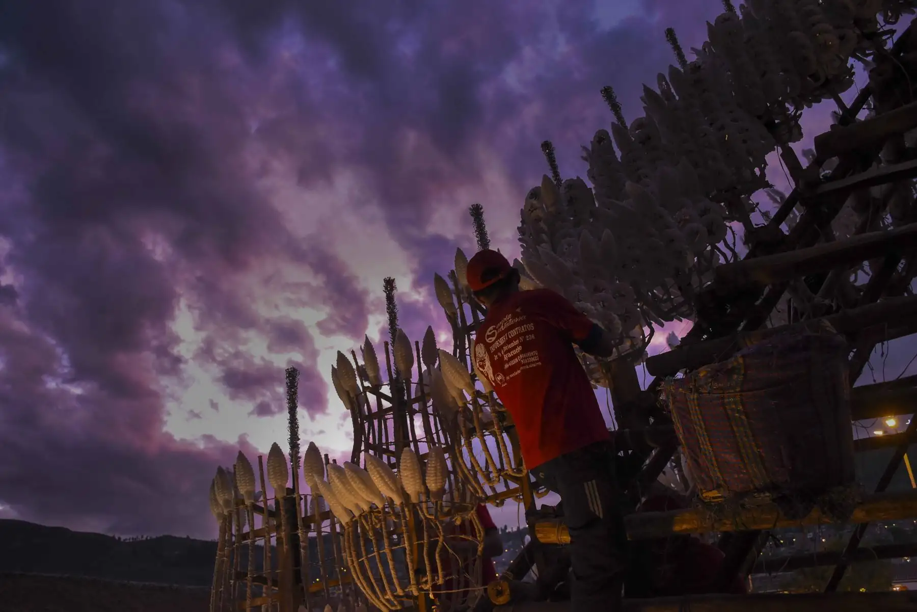 Bajo la luz del atardecer, trabajadores continuaron la colocación de estructuras y ornamentos en el anda, avanzando en su ensamblaje en una jornada marcada por la dedicación y el compromiso con la tradición. Foto: ANDINA/Cortesía Javier Ninanya.