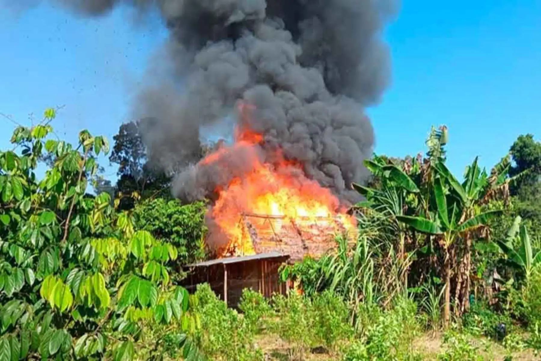 Comando Unificado Puma aplica duro golpe al narcotrafico en Loreto
