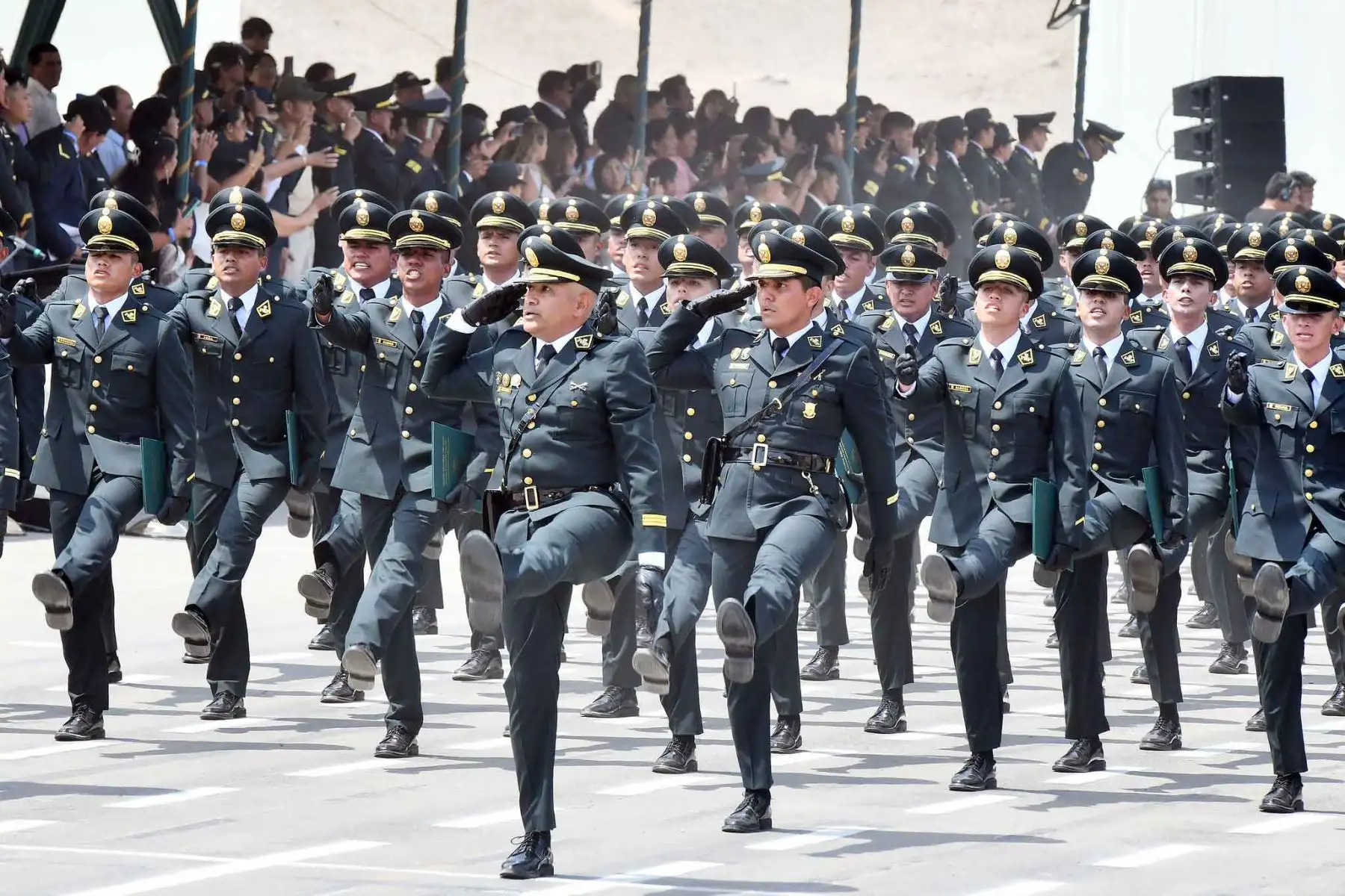 Los nuevos suboficiales han sido capacitados en las especialidades de Orden y Seguridad e Investigación Criminal, lo que permitirá fortalecer el patrullaje, las intervenciones operativas y las labores de inteligencia en la lucha contra las diversas modalidades delictivas. ANDINA/Difusión