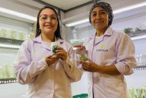 ProInnóvate financia proyectos de innovación. ANDINA / Difusión.