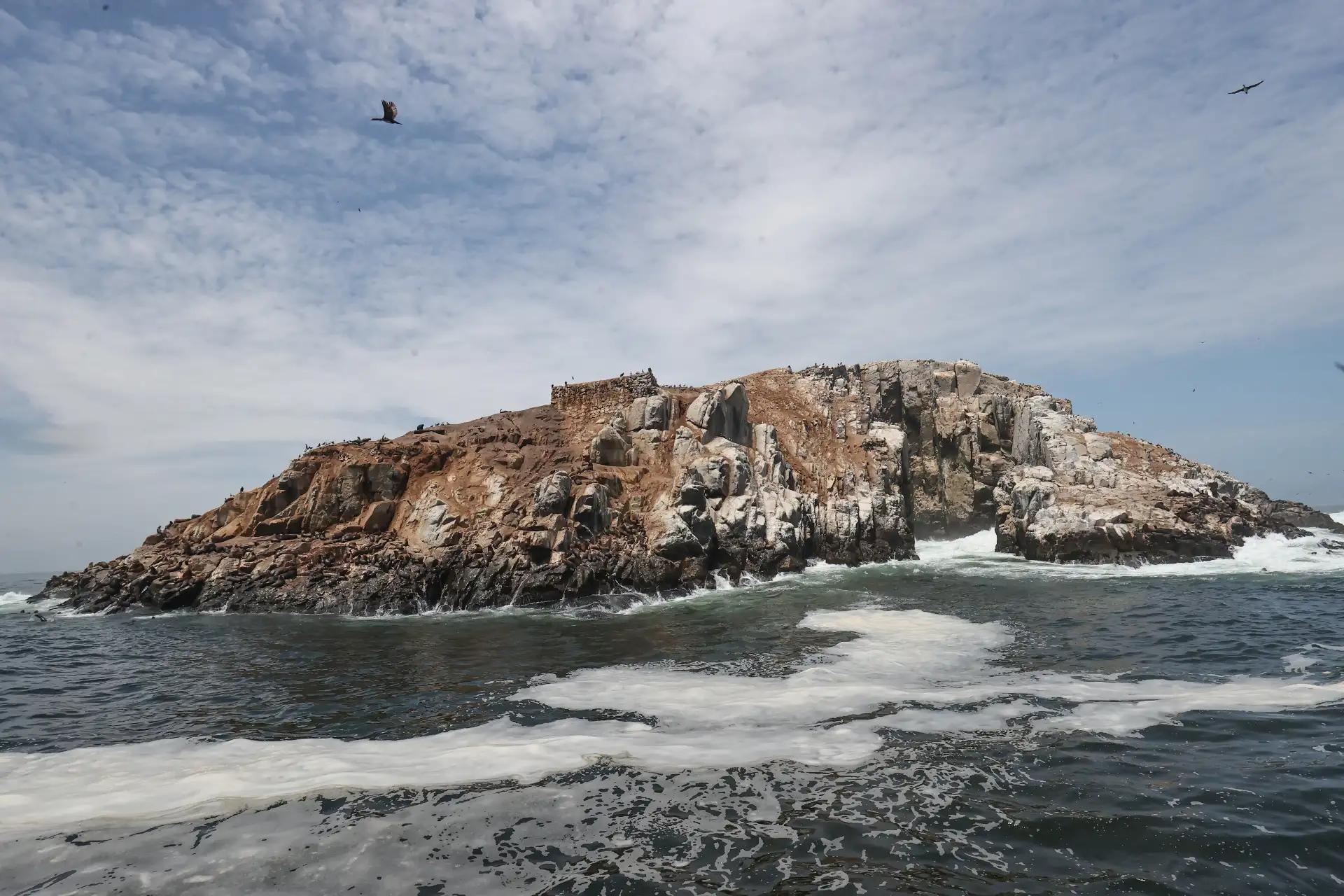 La ministra del Ambiente, Nelly Paredes, lanzó la campaña "Conecta con la Naturaleza", una invitación a hacer una pausa, despejar la mente y reconectar con nuestras áreas naturales protegidas. Luego del lanzamiento realizó una visita a las Islas Palomino donde avistó lobos marinos.
Foto: ANDINA/ Juan Carlos Guzmán Negrini