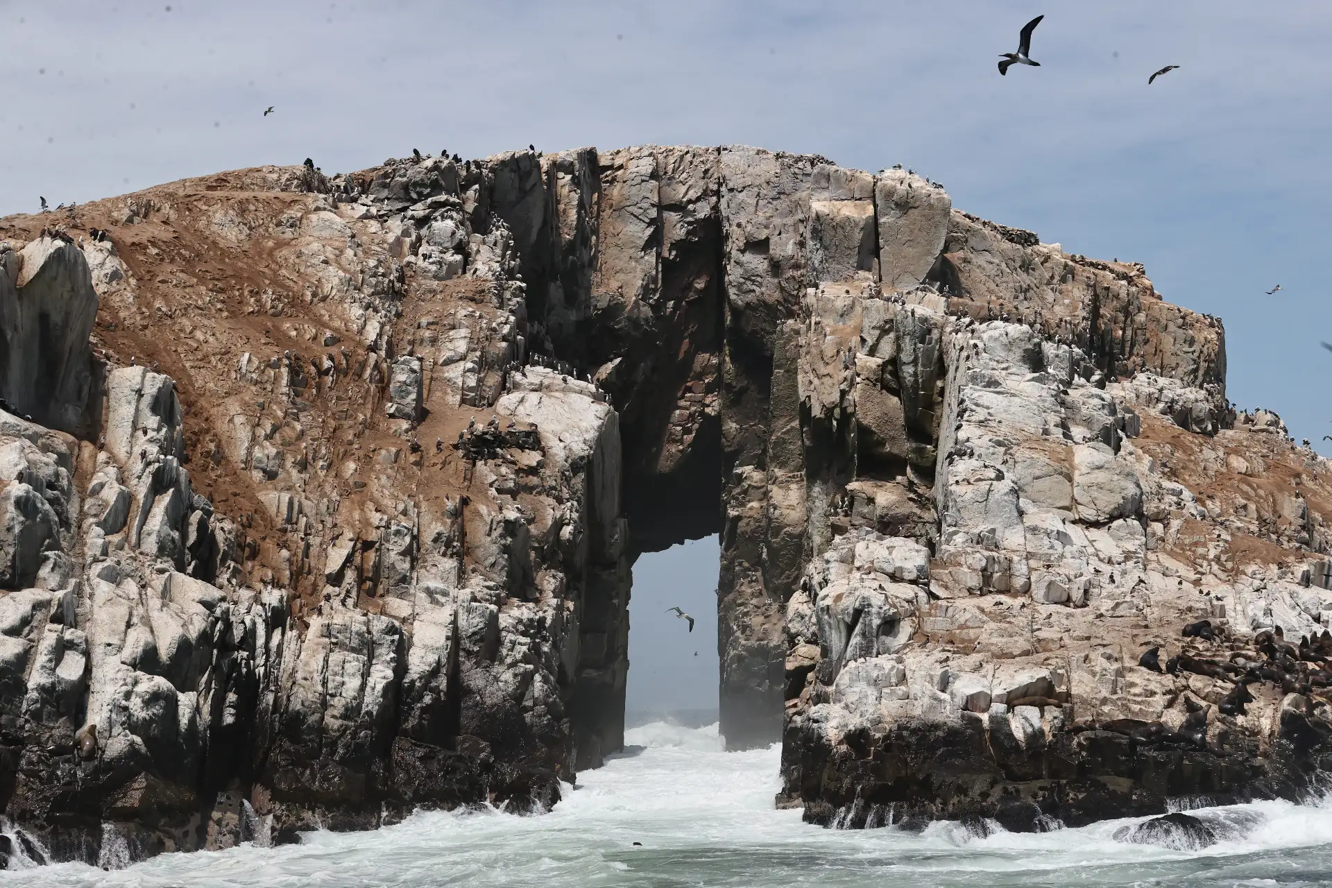 La ministra del Ambiente, Nelly Paredes, lanzó la campaña "Conecta con la Naturaleza", una invitación a hacer una pausa, despejar la mente y reconectar con nuestras áreas naturales protegidas. Luego del lanzamiento realizó una visita a las Islas Palomino donde avistó lobos marinos.
Foto: ANDINA/ Juan Carlos Guzmán Negrini