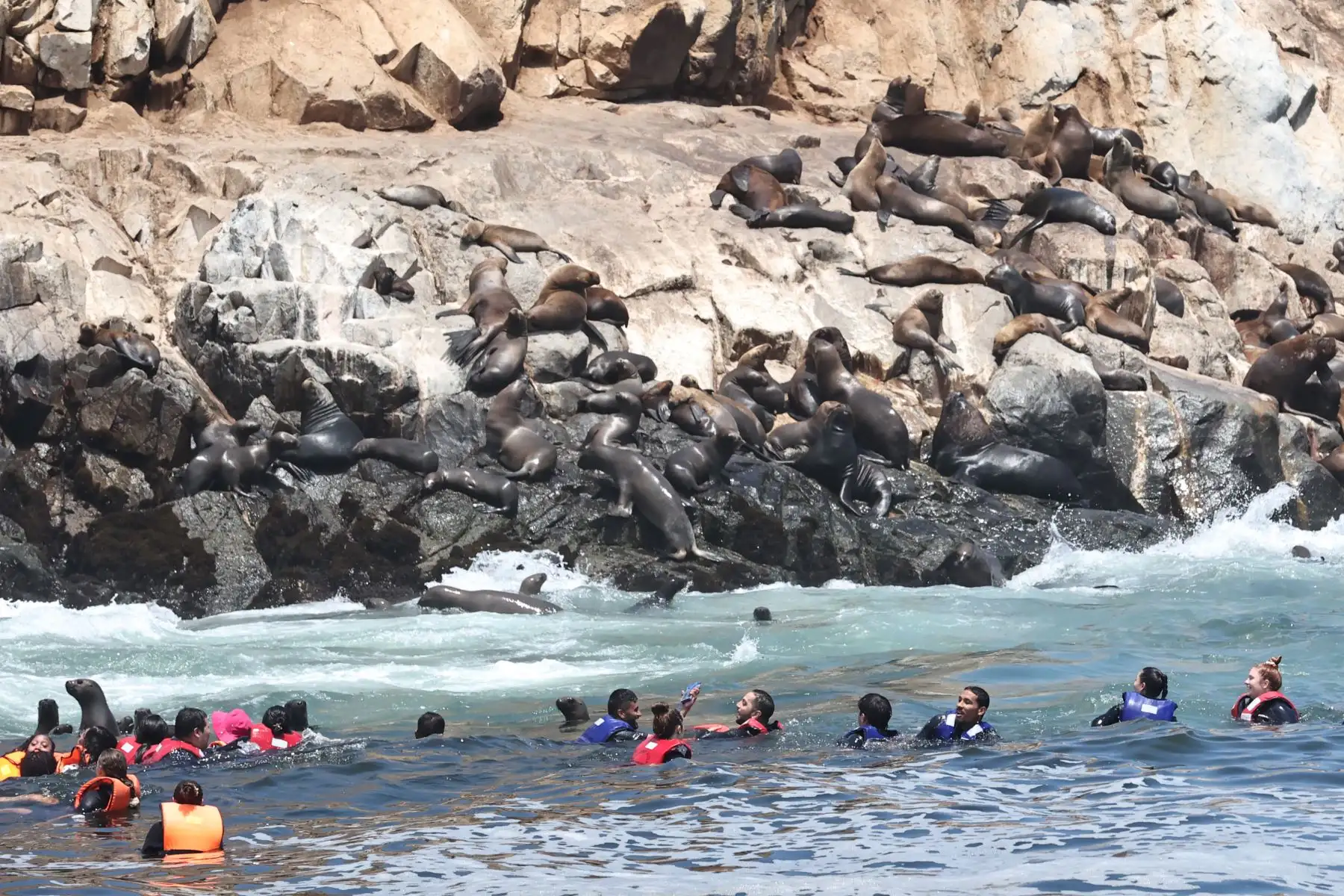 La ministra del Ambiente, Nelly Paredes, lanzó la campaña "Conecta con la Naturaleza", una invitación a hacer una pausa, despejar la mente y reconectar con nuestras áreas naturales protegidas. Luego del lanzamiento realizó una visita a las Islas Palomino donde avistó lobos marinos.
Foto: ANDINA/ Juan Carlos Guzmán Negrini