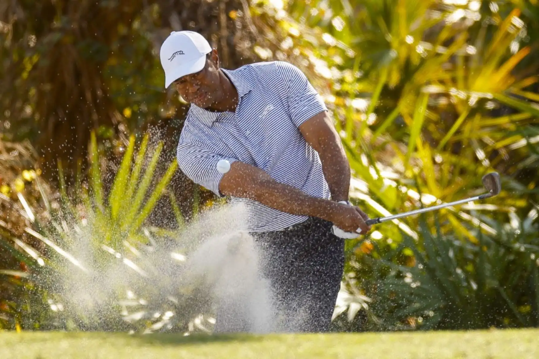 El policía agregó que el deportista permanecerá al menos ocho horas en la cárcel del Condado de Martin, después de lo que será puesto en libertad bajo fianza.
 Foto: AFP
