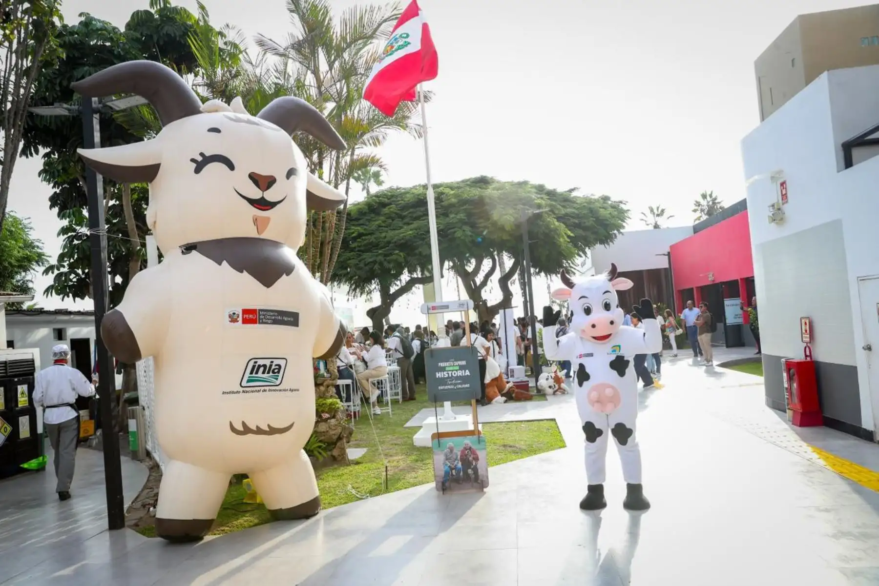 En el marco del Día Internacional del Queso, el Ministerio de Desarrollo Agrario y Riego (MIDAGRI), a través de Agromercado, realiza la segunda edición del Concurso Nacional de Tablas de Quesos “Quesarte 2026”. Foto: ANDINA/Ricardo Cuba