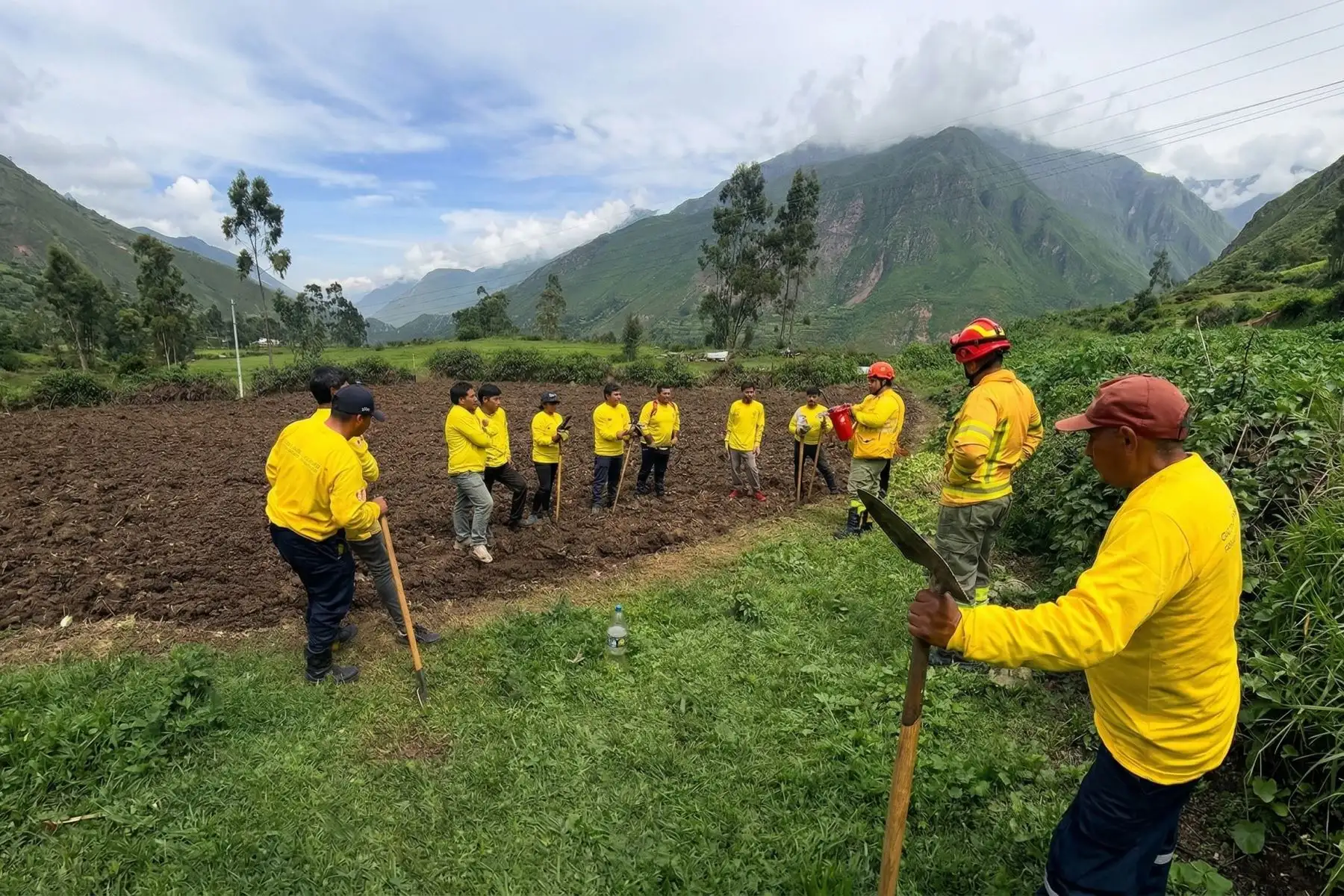 Serfor forma brigadas locales para gestión de riesgos por incendios forestales en Canta