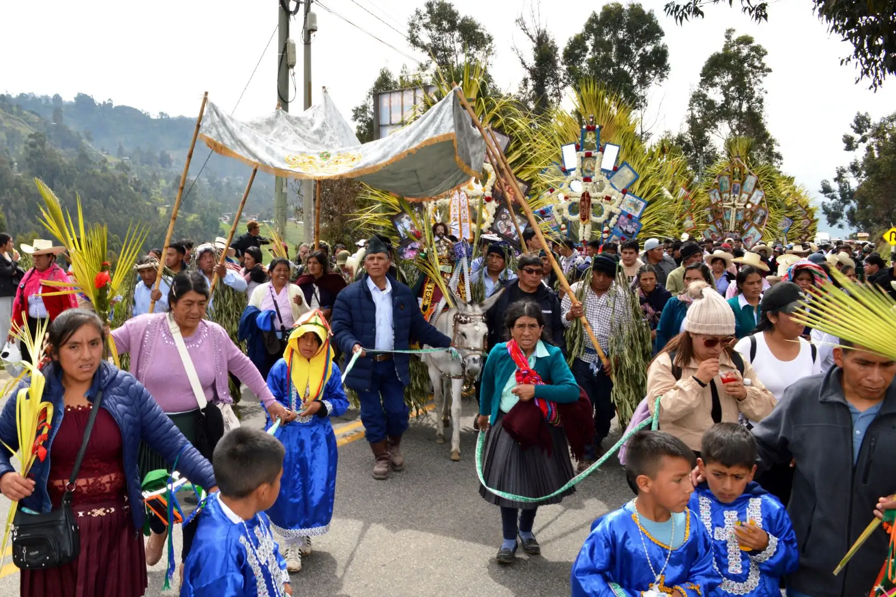 Durante el recorrido de las cruces también iba “La Señorca”, una burrita que cargaba la imagen de Cristo Ramos, protegida con un toldo. Foto: ANDINA/Difusión