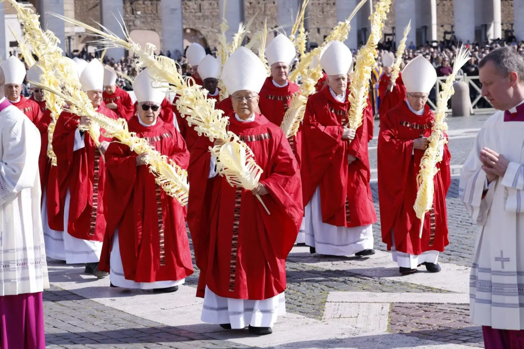 Cardenales participan en la procesión durante la misa del Domingo de Ramos presidida por el Papa León XIV en la plaza de San Pedro, en el Vaticano. Foto: AFP